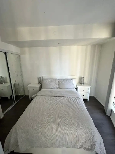 Fully Furnished 1 Bed Downtown Toronto Image# 2