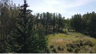 4 Acres of Beautiful LAND in the Grove in BEARSPAW Image# 4
