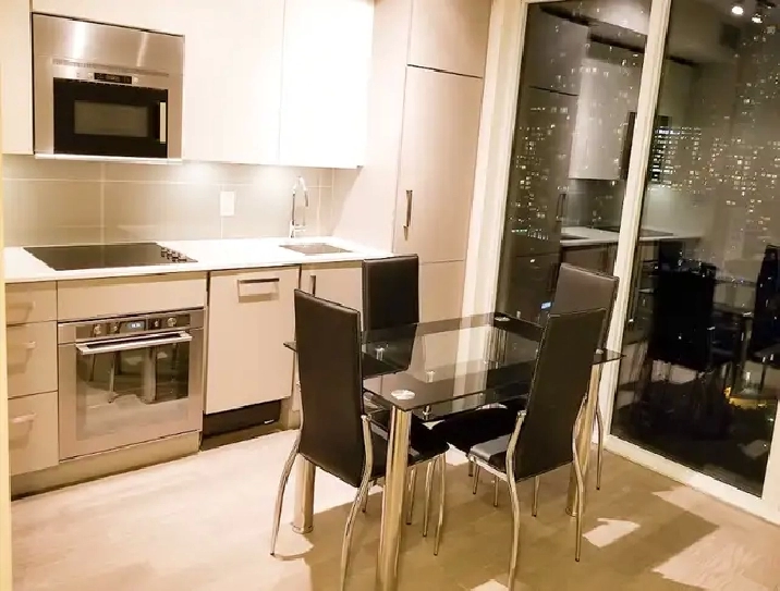 5 Year New Furnished 1 Bedroom Condo Yonge / Wellesley / Bloor in City of Toronto,ON - Apartments & Condos for Rent