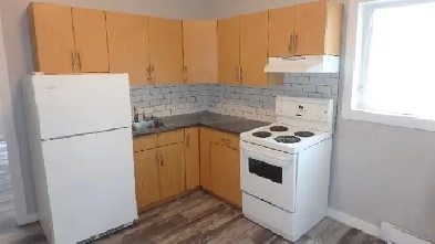 Recently renovated 2 bedroom unit for rent Image# 1