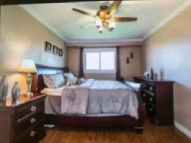 Beautiful one bedroom at victorial park and finch Image# 1