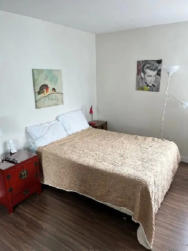 Student Friendly Rooms in Vancouver   internet   hydro! Image# 1
