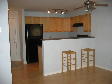 2Bed 2Bath Condo incl utils and parking in Downtown EastVillage Image# 1