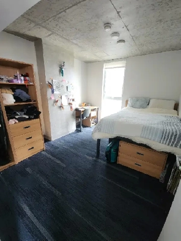 Summer Sublet Downtown Toronto, Steps from UofT! Image# 1