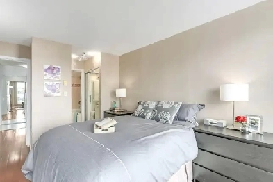 Charming & Well-lit Room in Downtown Area | Awesome Deal! Image# 1