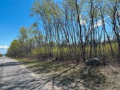 0 Traverse Bay Rd East -Fantastic high & dry 78.35 Acre Property Image# 2