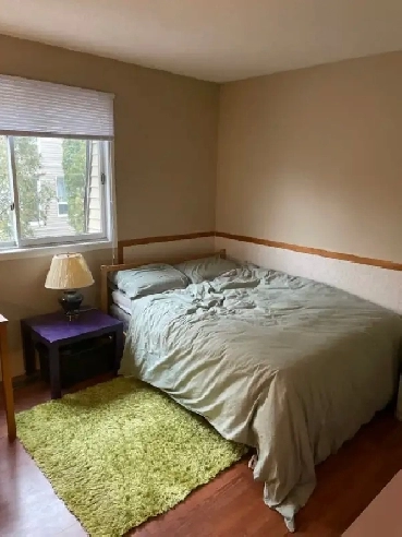 Big Pinecrest room for rent roommates Image# 1