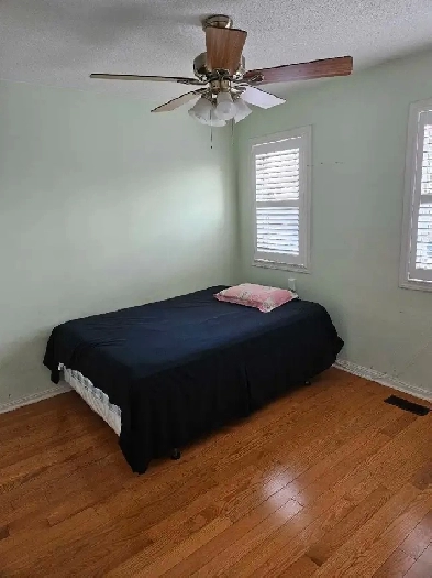 Room for rent for FEMALE no parking - scarbrough June 1 Image# 1