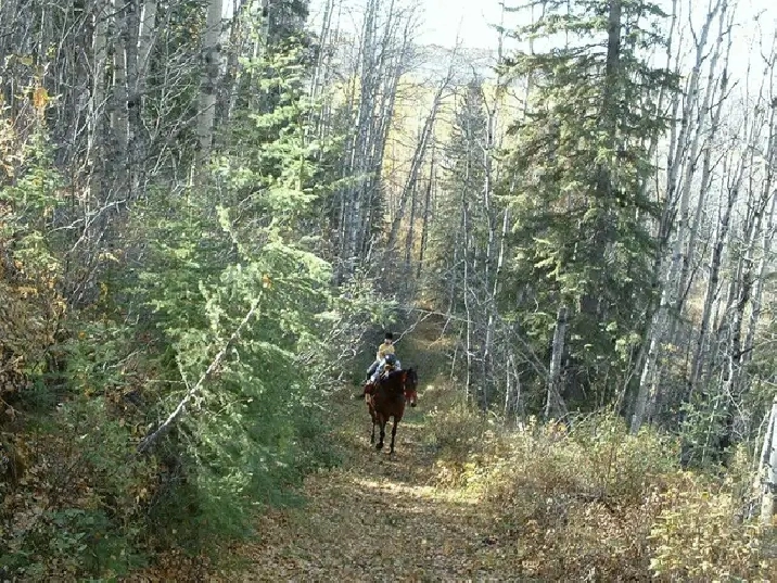 James River Retreat ½ mile of riverfront in Calgary,AB Land for Sale