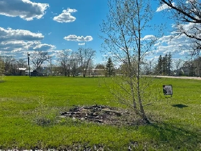 DOUBLE LOT FOR SALE IN ARNAUD, MANITOBA GREAT LOCATION 240X125 Image# 4
