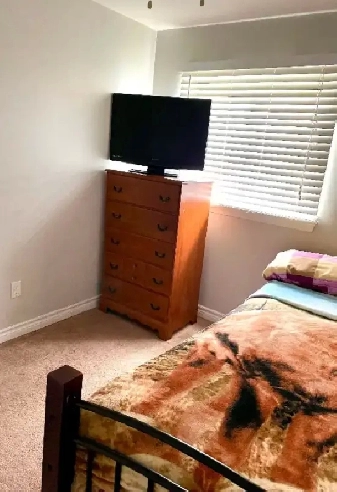 1br - Private Room Available June 1 (Scarborough) Image# 1