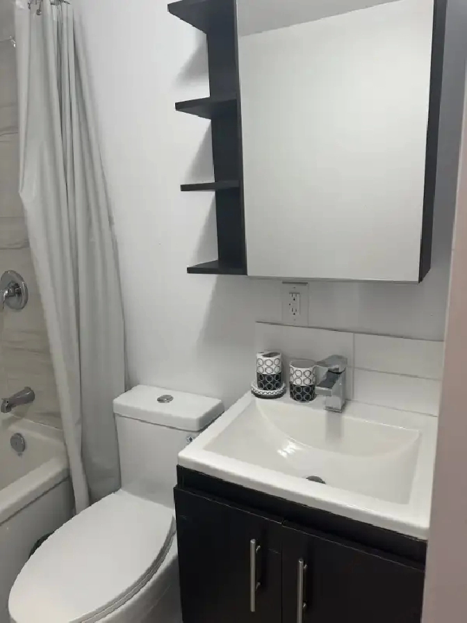 3 1/2 ligne vert Cadillac/Langelier très moderne DISPINOBLE NOW in City