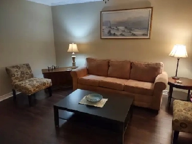 furnished One Bedroom apartment for rent in Carleton Place Image# 3