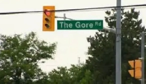 Basement for Rent - The Gore Road Area in Brampton Ont. Image# 1