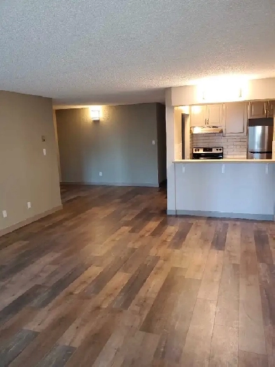 Newly Renovated DOWNTOWN – (1) Bdr. Apt. at 221-6 Ave SE Image# 1