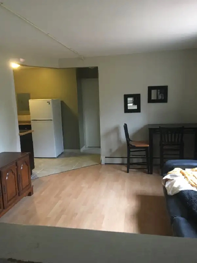 One bedroom apartment, Waterloo Park, for short term lease in Kitchener ...