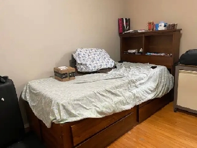 Room for rent near UofA Image# 1