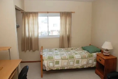 Furnished room 6 minute walk from Algonquin College Image# 1