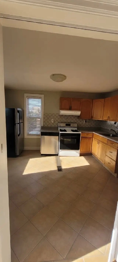 Newly Renovated 1 Bed Apt on 2nd Floor - June 1 Image# 1