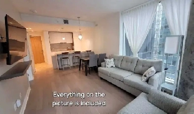 New 3 1/2 Condo de luxe meublé Furnished condo downtown Montreal Image# 3