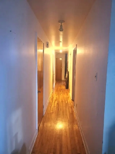 4-1/2 appartment for rent in Longueuil Image# 1