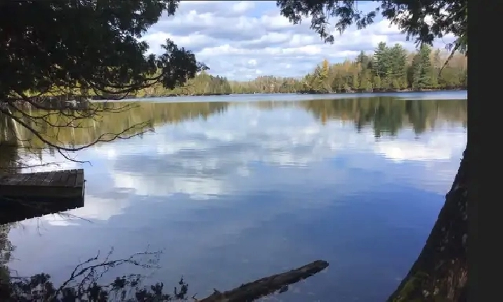 ( RARE ) 150 Acres with Lake Front , 1Hr North of Montreal in City of Toronto,ON - Land for Sale