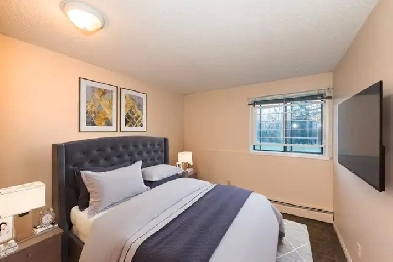1 Bedroom - 3710 52 Ave. Image# 1