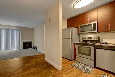 Modern 2 bed 1 bath in NW Calgary close to Uni! $1000 off! Image# 1