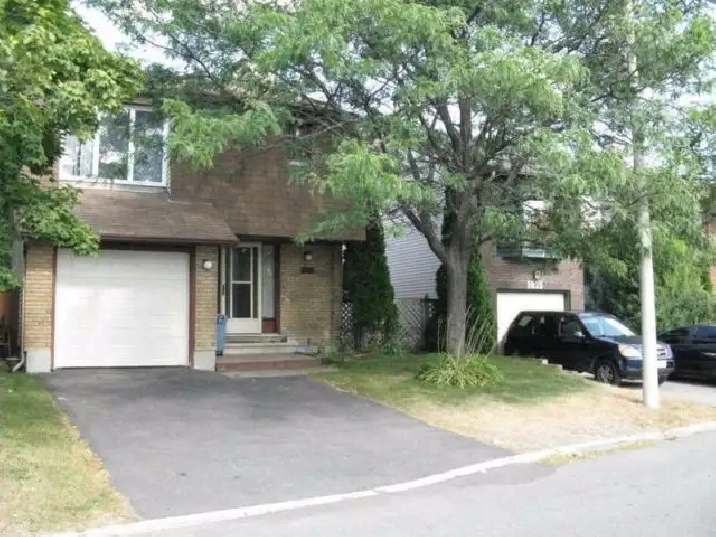 COOP, Students, Employed...BIG BAYSHORE ROOMS...GREAT LOCATION in