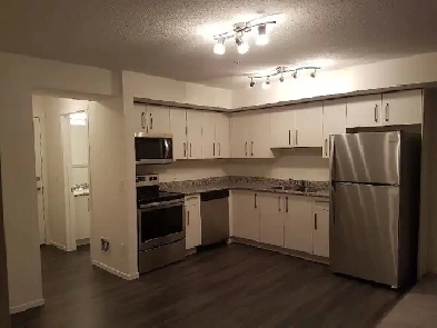 We have a clean 2 Bed, 2 Bath Spacious Condo at Skyview Landing. Image# 2
