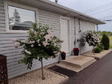 House for Sale in Steinbach Image# 3