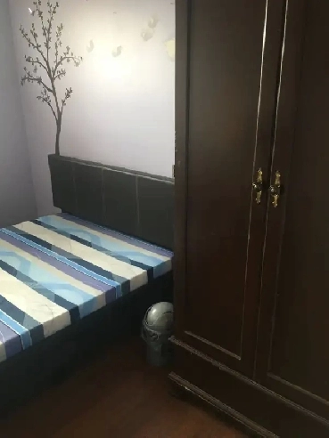 Cozy furnished room with private washroom for young male student Image# 1