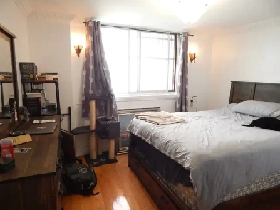 Large 1-bedroom Apartment in Plateau, Montreal Image# 1