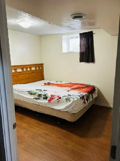 1 furnished room avilable for rent in the basement(girl is pref) Image# 1