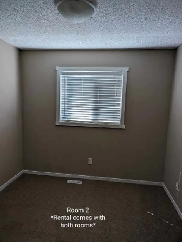 Looking For Roommate Image# 1