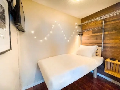 Cozy Private Room to Rent in Downtown - Available now Image# 1
