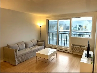 3 1/2 apartment with gym near centre bell Image# 2