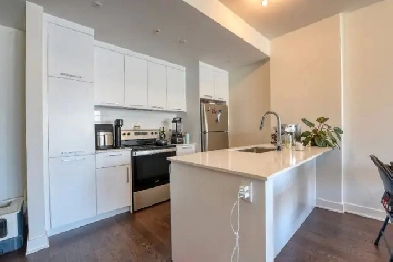 1 Bed 1 Bath Apartment Condo For Rent - Downtown (Griffintown) Image# 9