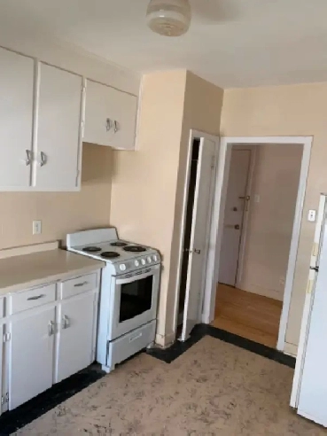 One bedroom apartment for rent on Jamison Ave just off Henderson Image# 1
