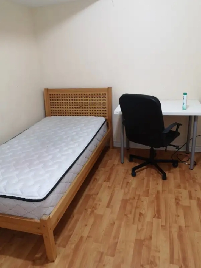 The room for rent in York village near York university campus in City
