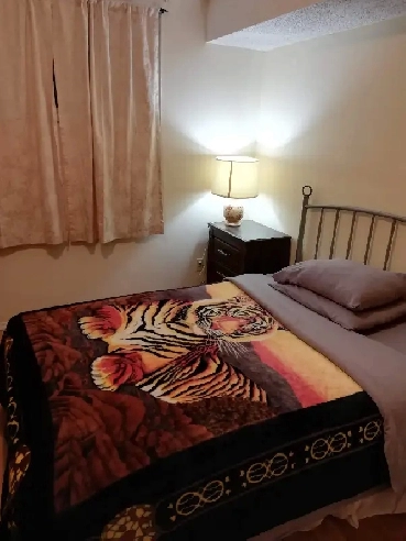 All Furnished Room For Rent Immediately, 200$/week. Image# 1
