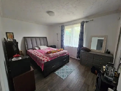 Separate bedroom in main floor $900 Image# 1