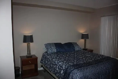 2 bed room condo partially furnished Image# 9