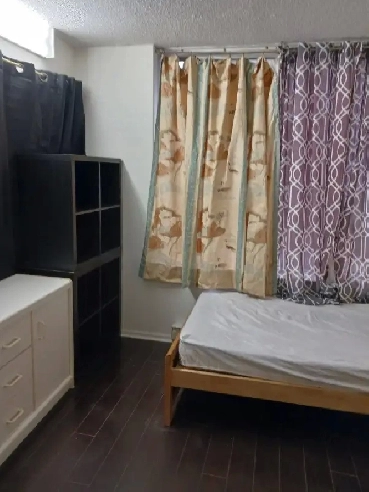 Two rooms for rent downtown Toronto at Bay and Gerrard Image# 8