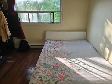 Furnished Room for Rent (Scarborough - Malvern Town center/$850) Image# 2
