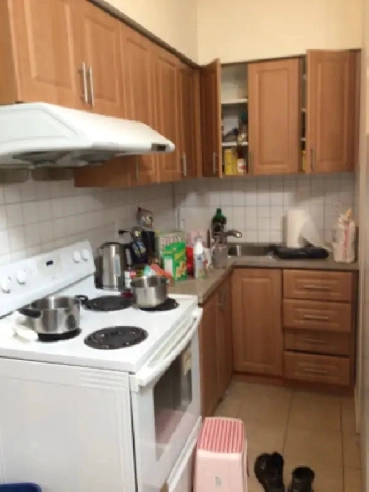 Like New 2 bedrooms unit for rent Spadina Avenue & College St Image# 1