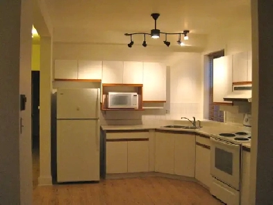 Large One Bedroom Apartment - Unfurnished for Rent - Canal Area Image# 6