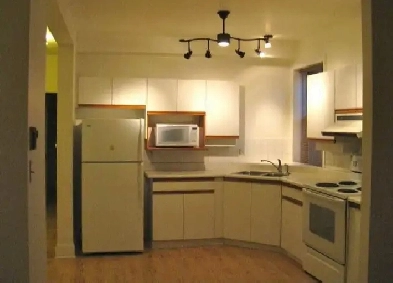 Large One Bedroom Apartment for Rent - Canal Area Image# 6