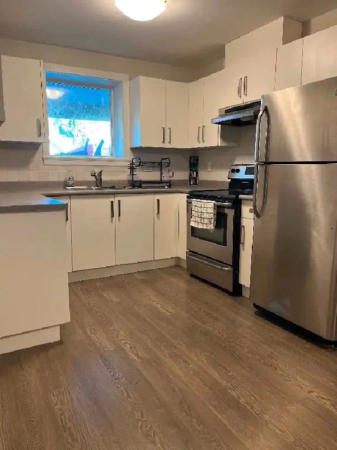 2 bedroom basement suite available NOW! in Delta/Surrey/Langley,BC