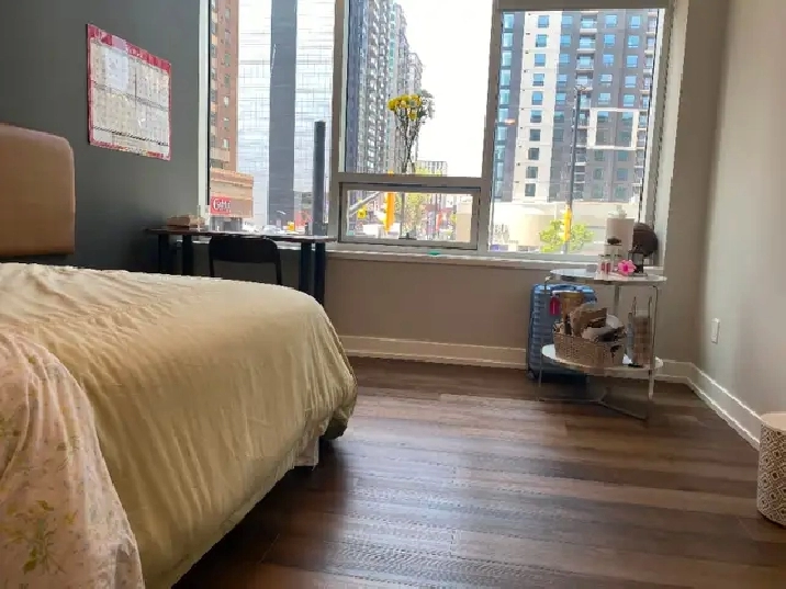 Downtown Ottawa Room Available for Sublet (July 1 - August 31) in Ottawa,ON - Room Rentals & Roommates